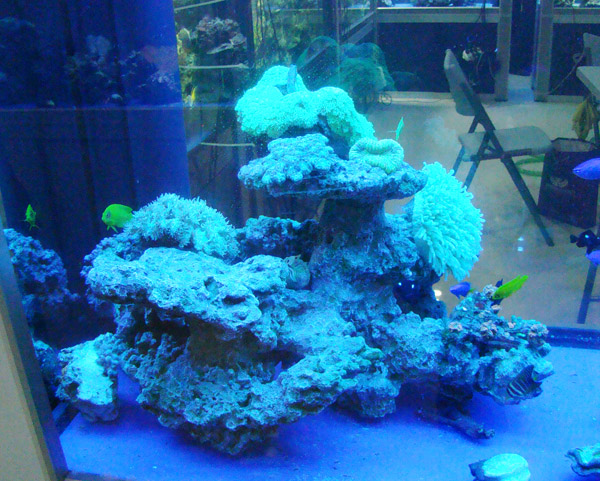 仿真珊瑚石